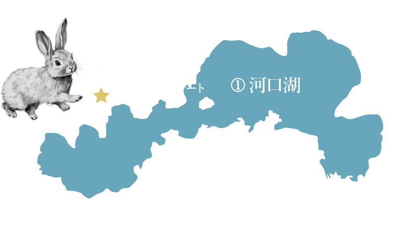 access